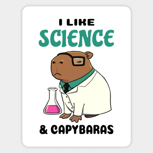 I Like Science and Capybaras Magnet